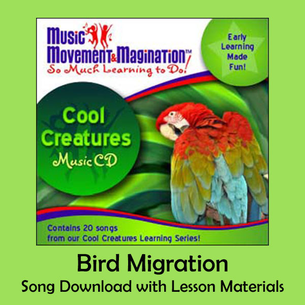 Bird Migration