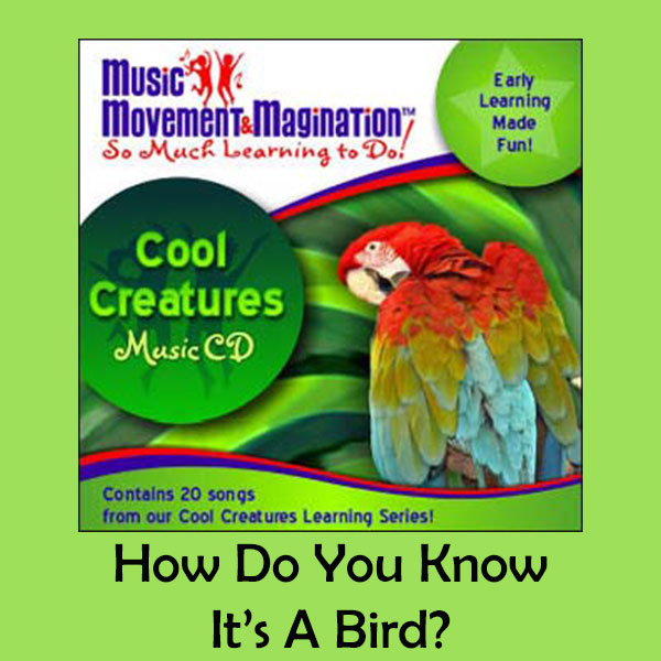How Do You Know It's A Bird?